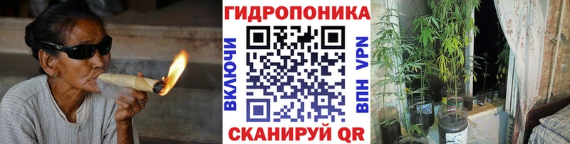 Где найти наркотики Холм Бошки Шишки  Кокаин  Псилоцибиновые грибы  Гашиш  СК 