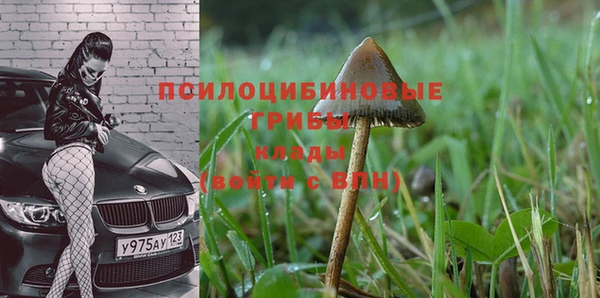 соль ск Михайлов