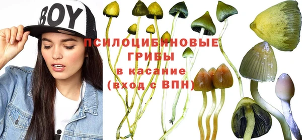 2c-b Михайловка