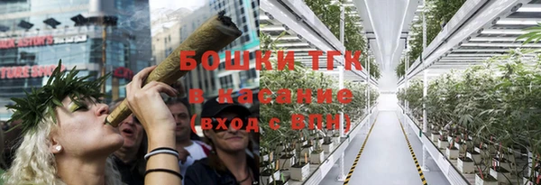 соль ск Михайлов