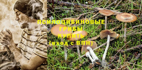 2c-b Михайловка