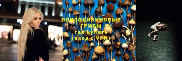 2c-b Михайловка