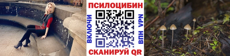 Псилоцибиновые грибы Psilocybe  купить   Холм 
